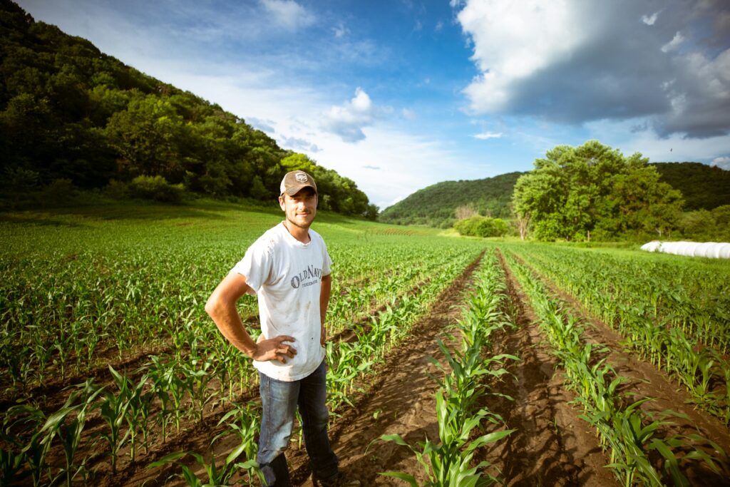 A grower standing among planted rows