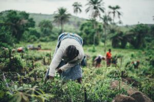 A woman planting by hand